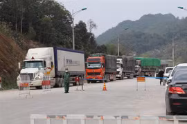 Xe nông sản chờ thông quan qua đường chuyên dụng vận tải hàng hóa cửa khẩu Tân Thanh-Pò Chài. (Ảnh: Quang Duy/TTXVN)