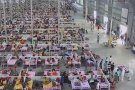 (Ảnh minh họa: Văn Hướng/TTXVN)