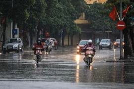 (Ảnh minh họa: Thành Đạt/TTXVN)