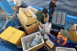 Lực lượng chức năng thu giữ hiện vật do ngư dân khai thác trái phép tại vùng biển thôn Phước Thiện, xã Bình Hải. (Nguồn: Báo Văn hóa)