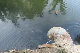 Ảnh minh họa. (Ảnh: TTXVN phát)