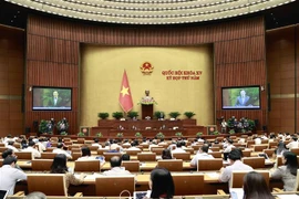 Quang cảnh phiên họp sáng 19/6. (Ảnh: Doãn Tấn/TTXVN)