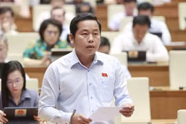Đại biểu Quốc hội tỉnh Bà Rịa-Vũng Tàu Dương Tấn Quân phát biểu ý kiến. (Ảnh: Doãn Tấn/TTXVN)