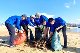 Những hoạt động cụ thể, thiết thực của người trẻ trong việc chung tay bảo vệ môi trường sống xanh-sạch-đẹp. (Ảnh: TTXVN phát)