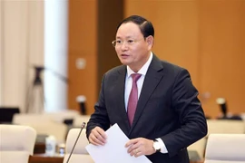 Thứ trưởng Bộ Tài nguyên và Môi trường Lê Minh Ngân phát biểu. (Ảnh: Doãn Tấn/TTXVN)