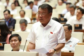 Đại biểu Quốc hội tỉnh Lâm Đồng Nguyễn Tạo phát biểu. (Ảnh: An Đăng/TTXVN)