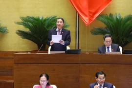 Phó Chủ tịch Quốc hội Nguyễn Đức Hải điều hành phiên họp. (Ảnh: Văn Điệp/TTXVN)