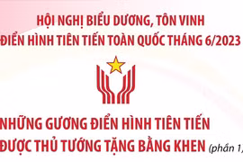 Thủ tướng tặng Bằng khen cho những gương điển hình tiên tiến