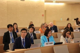 Đại sứ Lê Thị Tuyết Mai (áo xanh) cùng cán bộ Phái đoàn Việt Nam tại Geneva. (Ảnh: TTXVN/phát)