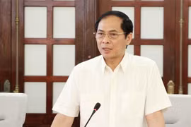 Bộ trưởng Ngoại giao Bùi Thanh Sơn. (Ảnh: Mai Trang/TTXVN)