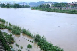 Nước lũ lên cao đã gây ngập úng, mang đất cát vùi lấp một số diện tích rau xanh, hoa màu các loại của người dân trồng dọc hai bên vùng thấp ven sông Hồng, đoạn chảy qua thành phố Lào Cai. (Ảnh: Quốc Khánh/TTXVN)