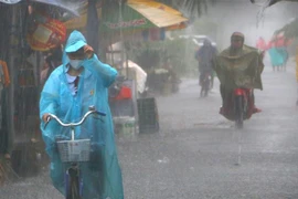 Ảnh minh họa. (Ảnh: Duy Khương/TTXVN)