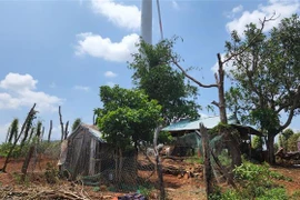 Nhiều nhà dân tại xã Ia Le cách trụ điện gió chỉ vài chục mét. (Ảnh: TTXVN phát)