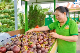 Một tiểu thương với sản phẩm trái cây được bày bán tại Lễ hội Trái cây Nam bộ. (Ảnh: Hồng Giang/TTXVN)