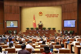 Quang cảnh phiên chất vấn. (Ảnh: Doãn Tấn/TTXVN)