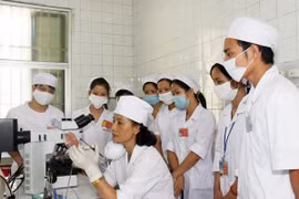 (Ảnh minh họa: TTXVN)