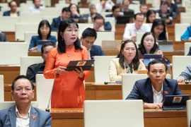 Đại biểu Trần Thị Thanh Hương. (Ảnh: CTV/Vietnam+)