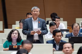 Đại biểu Nguyễn Anh Trí phát biểu tại hội trường. (Ảnh: CTV/Vietnam+)
