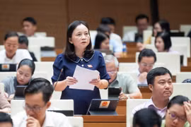 Đại biểu Cầm Thị Mẫn phát biểu về vấn đề ô nhiễm nguồn nước. (Ảnh: PV/Vietnam+)