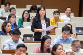 Đại biểu Quốc hội chất vấn trong phiên làm việc ngày 6/11. (Ảnh: CTV/Vietnam+)