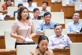 Đại biểu Quốc hội chất vấn ngày 7/11. (Ảnh: CTV/Vietnam+)