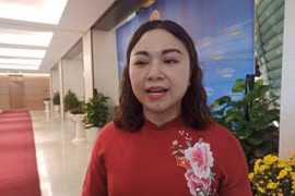 Đại biểu Quốc hội Đặng Bích Ngọc chia sẻ với báo chí. (Ảnh: Phạm Mai/Vietnam+)