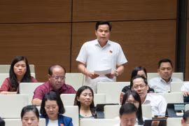 Đại biểu Bế Minh Đức phát biểu. (Ảnh: PV/Vietnam+)