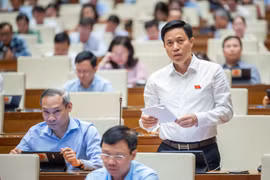 Đại biểu Lại Văn Hoàn đề nghị tăng tỷ lệ vốn Nhà nước lên 80%. (Ảnh: CTV/Vietnam+)