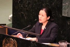 Đại sứ Nguyễn Phương Nga. (Nguồn: Hoài Thanh/TTXVN)