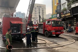 (Ảnh minh họa. Nguyễn Hoàng/TTXVN)