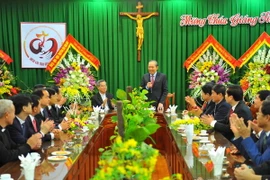 (Ảnh: Minh Đức/TTXVN)