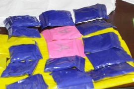 Ảnh minh họa. (Nguồn: TTXVN)