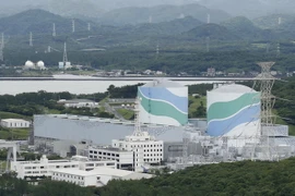 Một nhà máy điện hạt nhân của Nhật Bản chụp năm 2013. (Nguồn: AFP/TTXVN)