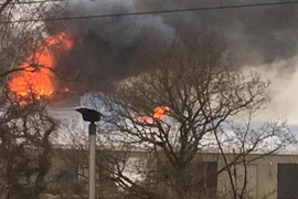 (Ảnh minh họa. The Guardian/TTXVN)