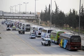  Xe buýt chở phiến quân và người thân rời khỏi thành phố Harasta, Đông Ghouta, Syria ngày 22/3. (Nguồn: THX/TTXVN)