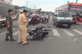 (Ảnh minh họa. Nguyễn Văn Việt/TTXVN)