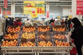 Ảnh minh họa. (Nguồn: THX/TTXVN)