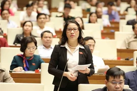 Đại biểu Quốc hội Thành phố Hà Nội Nguyễn Thị Lan chất vấn. (Ảnh: Phương Hoa/TTXVN)