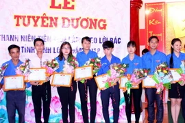 (Ảnh minh họa. Lê Thúy Hằng/TTXVN)