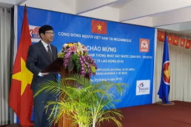 (Ảnh: Phi Hùng/TTXVN)
