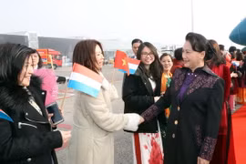 Đại diện cộng đồng người Việt tại Hà Lan đón Chủ tịch Quốc hội Nguyễn Thị Kim Ngân tại sân bay Amsterdam. (Ảnh: Trọng Đức/TTXVN)