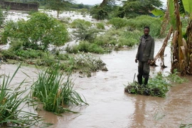 Ảnh minh họa. (Nguồn: THX/TTXVN)