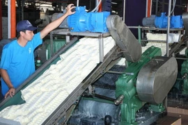 Chế biến mủ cốm cao su. (Ảnh minh họa. Đình Huệ/TTXVN)