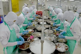 Chế biến thủy sản xuất khẩu tại Công ty thủy sản Trung Sơn. (Ảnh: Bùi Như Trường Giang/TTXVN)