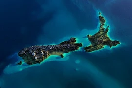 (Nguồn: Shutterstock)