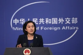 Bà Hoa Xuân Oánh. (Nguồn: EPA/TTXVN)