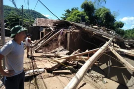 (Ảnh minh họa. Nguyễn Nam/TTXVN)