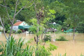 Nhiều bản làng ở huyện Con Cuông, tỉnh Nghệ An bị ngập trong nước do ảnh hưởng của bão số 4. (Ảnh: Bá Hậu/TTXVN)