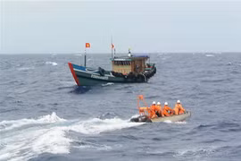 (Ảnh minh họa. TTXVN phát)
