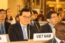 Đại sứ Dương Chí Dũng. (Nguồn: Hoàng Hoa/TTXVN)